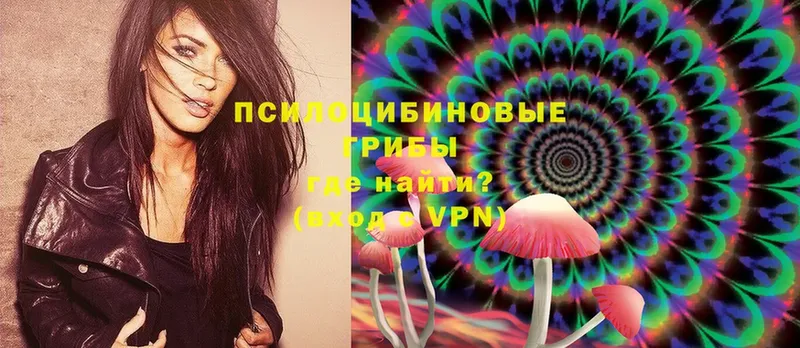 Псилоцибиновые грибы Psilocybe  Карабаш 